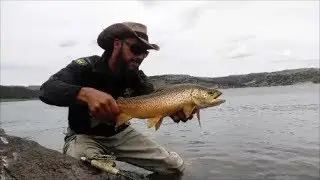 Panguitch lake July Fishing report part 3 a Monster Tiger Trout