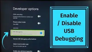 Huidi Google TV : How to Enable or Disable USB Debugging Mode