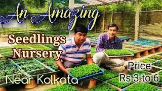 Kolkatas Best Seedling Nursery with Names and Prices.