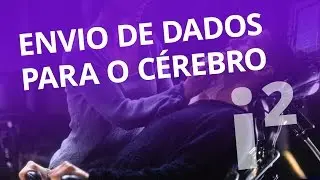 Matrix? Cientistas enviam informação diretamente para o cérebro [Inovação ²]