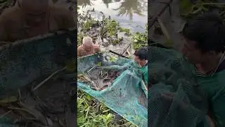 This is the most creative fishing technique that works 100% 😱