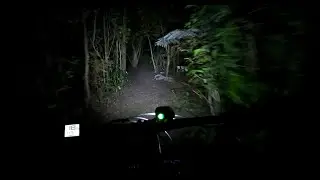 Shepherd's Park MTB night ride