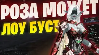 Всё таки ТОП класс? Роза на минималках в Lineage 2 Project Wolf