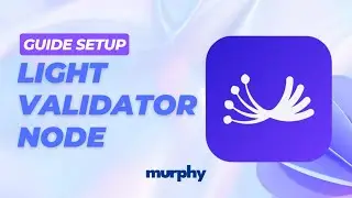 (Guide #5) Guide setup Dill light validator node  | MurphyNode