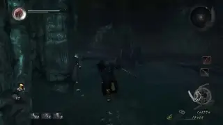 Drunkin' Ninja Master3003 nioh duece