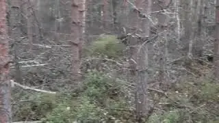 R&ouml;jning