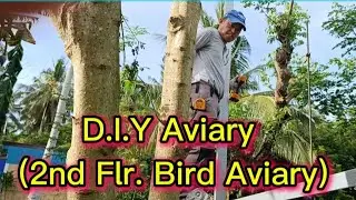D.I.Y Aviary (2nd Flr. Bird Aviary) #buhaymagiibon 