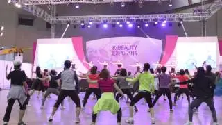 AFIC 2014 highlight 영상