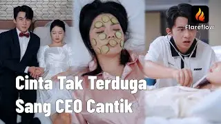 【IDSUB】Nikah keluarga mapan, dapat Putri Tidur, mobil & promosi！ | Flareflow