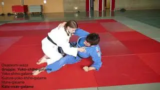 Judo || Gruppe: Yoko-shiho-gatame #ZZD2 No. 8