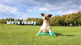 CBD Advertising to the mainstream!