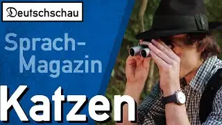 Auf Katzenjagd &ndash; Deutschschau (Folge 6)