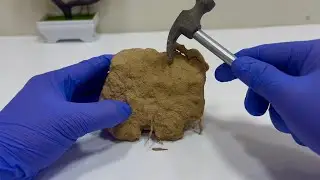 Satisfying ASMR Toy Car Deep Cleaning