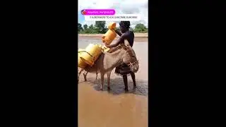 LIVE!! WATER IN THE DESERT; UNBELIEVABLE HOW WE FETCH & DRINK DIRTY WATER & WE ARE HEALTHY & HAPPY