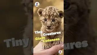 Realistic Tiny Animals Living On fingers😮 #aishorts  #shorts #cute #tiny #tinyanimals