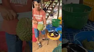 Durian Tarnina
