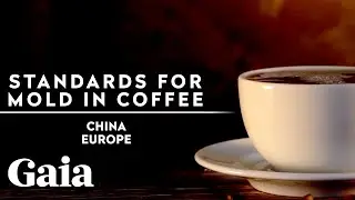 KNOW THIS About MOLD TOXINS in Your COFFEE