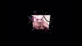 Bailando Fue - Randy [speed up / nightcore]