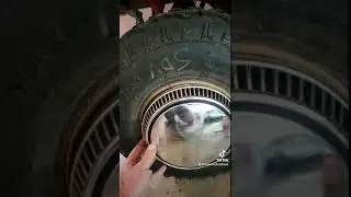 hub caps or no?