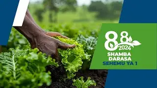 SHAMBA DARASA NA MINJINGU SEHEMU YA 1