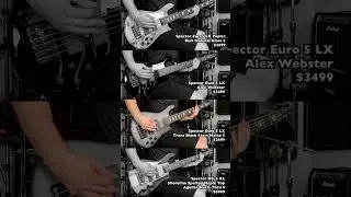 Spector Euro 5 LX Poplar Burl Natural Gloss 5 vs Alex Webster vs Trans Black Stain Matte vs NS-5 XL