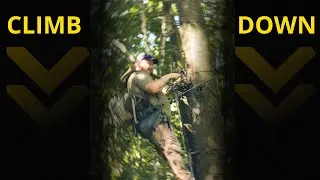 How We Climb Down (Saddle Hunting 101)