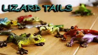 Lizard Tales