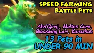 Rogue Solo SUPER SPEED Farming AQ, Kara, MC, & BWL in under 90 minutes | Mists of Pandaria PrePatch