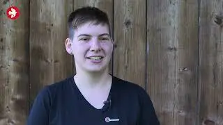 Nisthilfen für Mehl- und Rauchschwalben