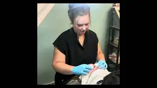 Kelsey Bates in the New Esthetician category for TSG2025 - video 7