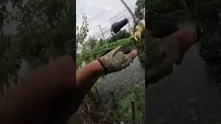 so sad #angling #anglinglife #bassfishing #carpfishing #fishing #carp #anglinginspiration #asmr