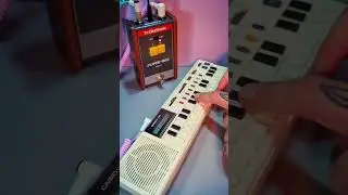 Casio VL-1 with June-60 Chorus and delay/reverb #casiovl1 #casio #synthesizer #june60
