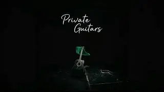 Dj Fatty 254   Private Guitars