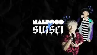 naldooo & suisei - Why ? (Official Lyrics Video)