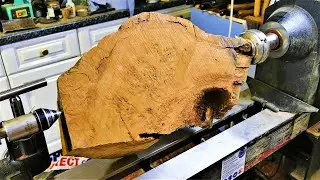 Woodturning - The Ancient Oak Burl