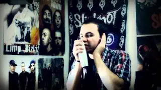 Sick Puppies - You're Going Down [ vocal cover ]