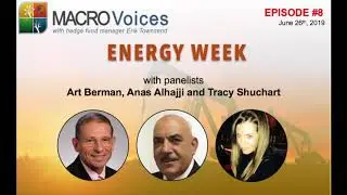Energy Week #8: Massive inventory drawdown, PES Fire, OPEC+, G20. Panel Shuchart/Berman/Alhajji