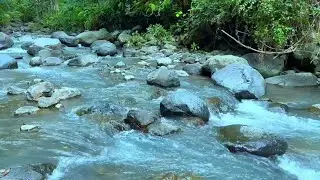 Peaceful River Flow Sounds for Sleeping Deep Relaxation and Insomnia Relief
