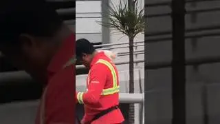 Street cleaner puts kitten on his shoulder and continues to work.