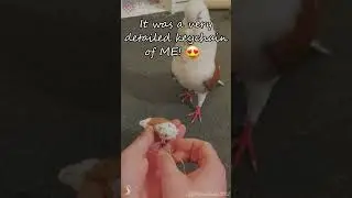 Our #petpigeon 🕊️ got a #handmade 🧵 version of herself!