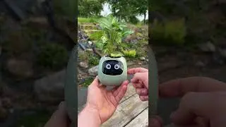 The AI plant pot&hellip; 🥹
