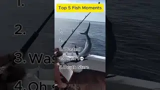 Ranking Top 5 Funny Fish Moments