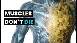 Muscle to Fat Myth EXPOSED: What Detraining Really Does to Strength, VO₂max & Metabolism