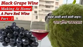 Pure Red Wine From Black Grapes // सबसे जल्दी बनने वाली वाइन।