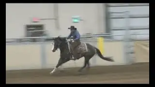 Blu boon smarty - Top Gun Horse Sale 2024