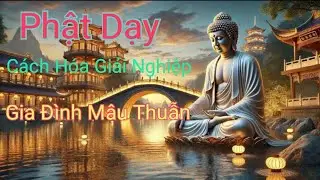 Phật Dạy : Cách Hóa Giải Gia Đình Nhiều Mâu Thuẫn #loiphatday 