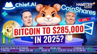 ИИ предсказывает рак, Dogecoin взлетает после слов Маска, прогноз на биткоин в 2025 ⚡ Hamster News