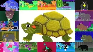 ⚡Hickory dickory dock💥turtle and 15 more funny animals🦒🐘🦌🦘🐫🦅✓🎨slide+visual🖌️🎨