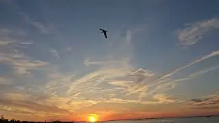 Summer, evening calm, sunset, lake Michigan, birds, God's gifts, God of creation!