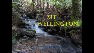 Mt Wellington - Walk 6